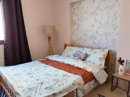 Cozy apartment Maadi Ring road, Cairo