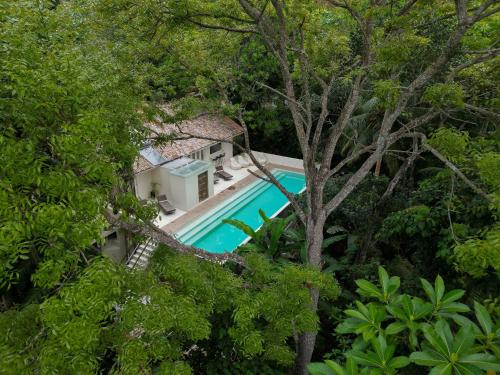 Luxury Jungle Villa with an Infinity Pool, Yoga Shala and Gym