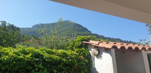 . Villa Margherita