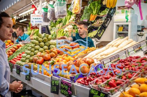 Directo a la playa con vistas del mar