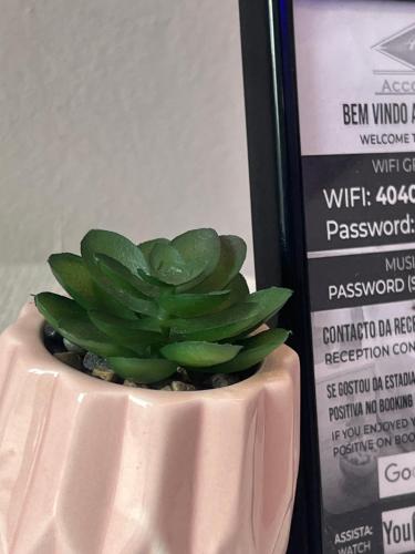 40 40 Accommodation 40 40 Accommodation