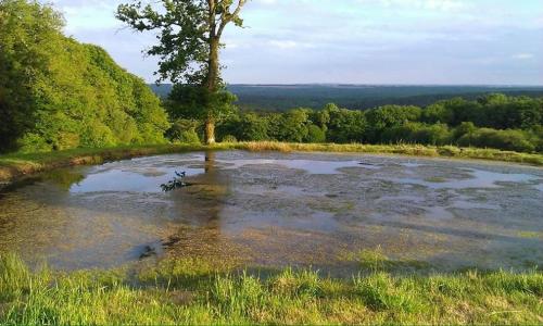 MANOIR DU TERTRE au coeur de la forêt de Brocéliande