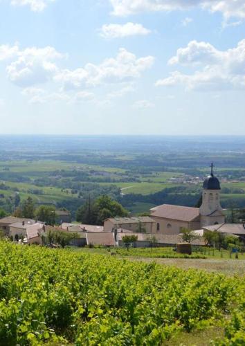 La maison du jeune vigneron - Location saisonnière - Chiroubles