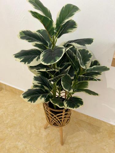 KicauanStudio#2 at Kuala Berang for 2Pax - Free Netflix & Wifi in Kuala Berang