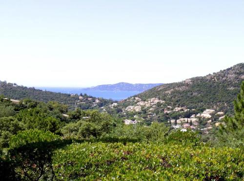 Chambre d'hôtes vue sur mer accés indépendant - Accommodation - Rayol-Canadel-sur-Mer