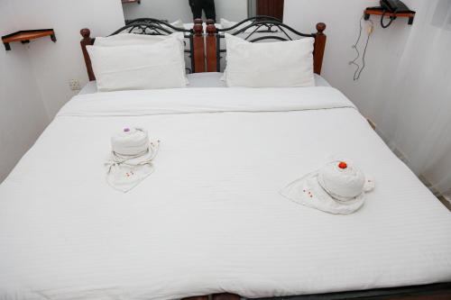 Dovenest Lodge Room Type - Standard Double Room