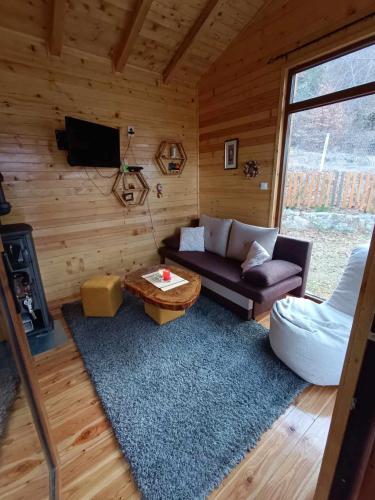 Wooden Mountain Villa in Berovo