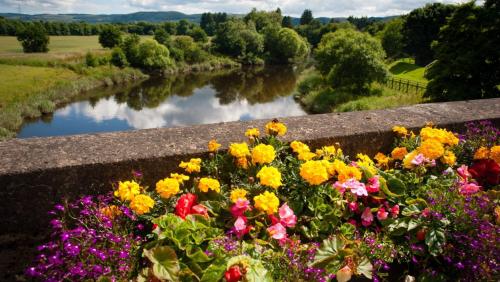 River Edge Lodges