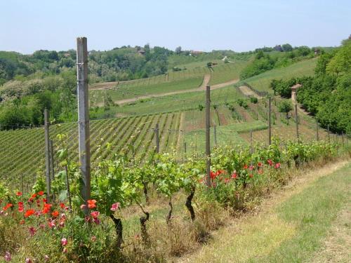 Skats, Cascina Rollone in Rocchetta Tanaro