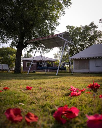 Impian Resorts - Jodhpur, Jodhpur