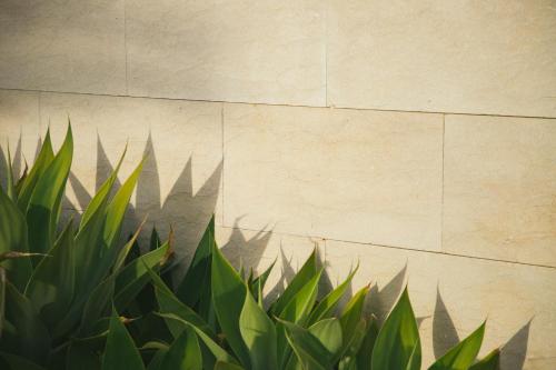 Salobre Hotel Resort & Serenity - image 3