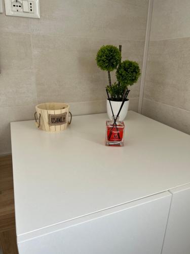 Regina Elena Regina Elena