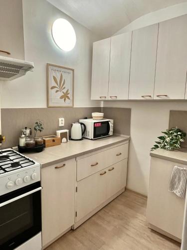 Apartment Lea - Old Town, Братислава (фото 8)