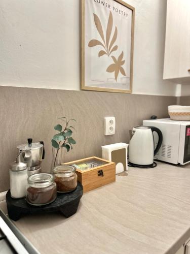 Apartment Lea - Old Town, Братислава (фото 10)