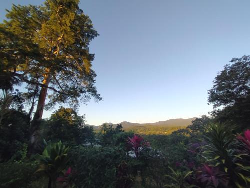 Ambiente nas Imediações, Kaz à Rosa (Kaz a Rosa) in Petit-Bourg