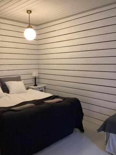 Pastella near Turkui repülőtér