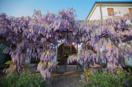 FARM HOUSE — other in 30 Via Sile, Roncade Italy, 31056
