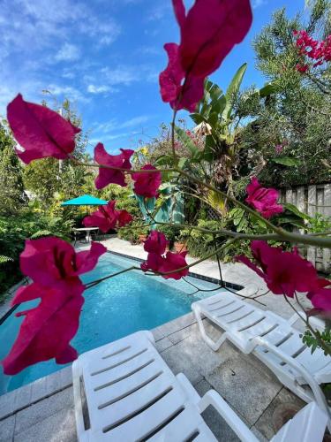 Delight and cozy Apt close to Las Olas & the beach