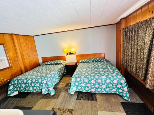 Sun N Snow Hotel in Cadillac, USA