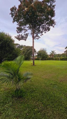 Cabañas Selva Verde