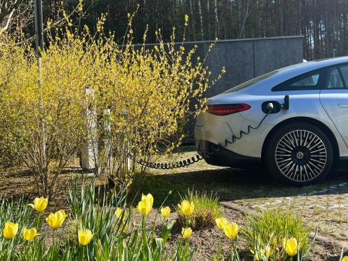 Rosevia Resort & Spa - image 9