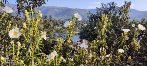 El rincón de Gredos El rincón de Gredos