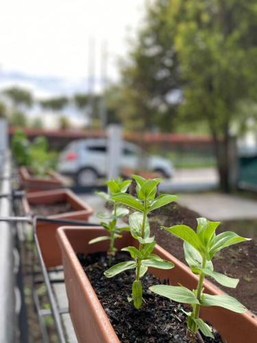 Casa del Salice Lagoon View with Garden