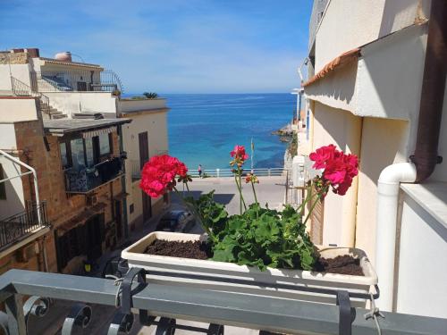 Terra Sinus Beautiful Suite