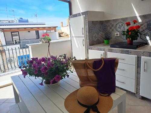 Terra Sinus Beautiful Suite