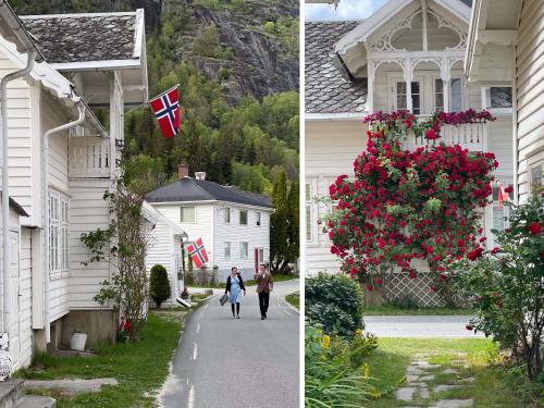 Villa Solvorn - image 4