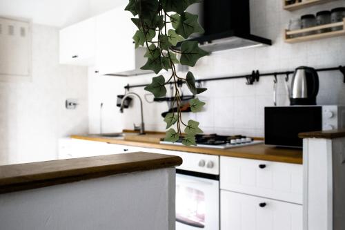One-Bedroom Apartment image 4