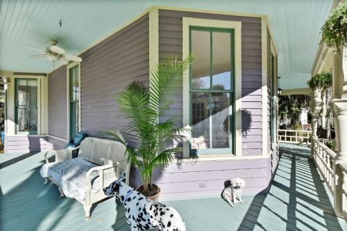 Bosch Huis Porch - Entire Property in 布倫瑞克