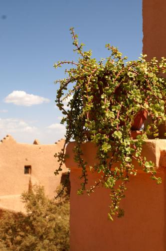 Maison d'hôtes Dar El Nath – Ouarzazate, OH