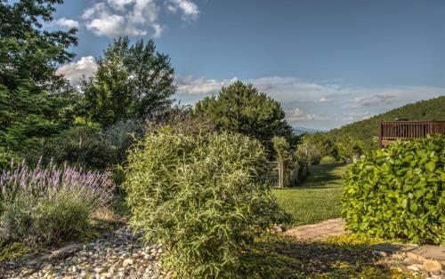 Black Mountain Hilltop Retreat