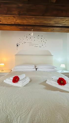Studio Arena 023091-LOC-04288, Verona (photo 7)