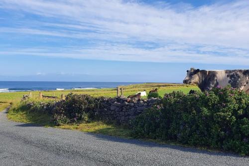Wild Atlantic Seaside Cottage in Easky