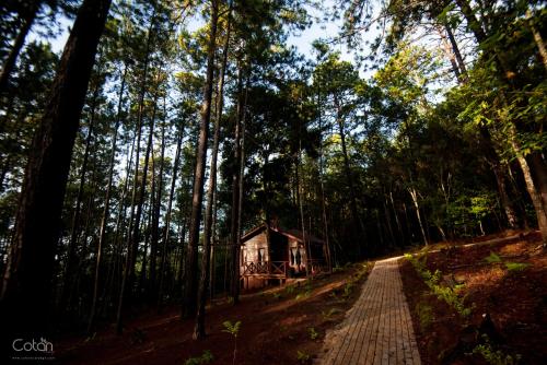 A szálláshely kívülről, Cotan Ecolodge in La Esperanza