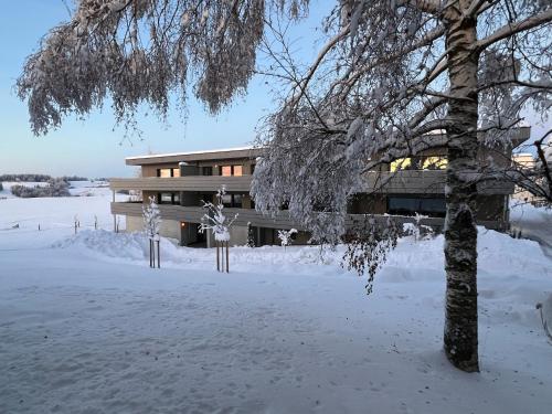 Ferienwohnung Bodenseeblick Nr 9