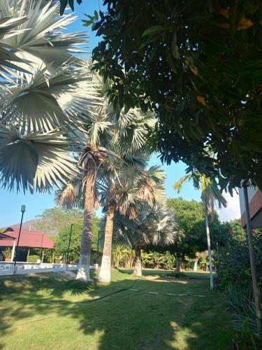 Casa campo NEPENTE cabaña