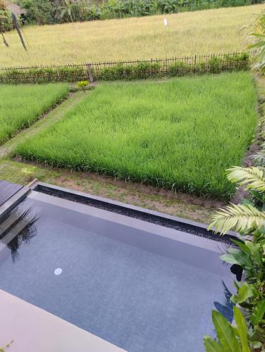 Dukuh Ubud 2BR Pool Sunrise Villa #3