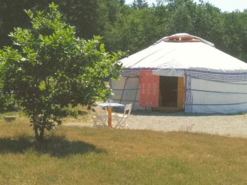 Yourte et nature gîte à louer Voudenay
