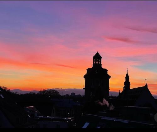La Rose, Štrasburk (fotografie 8)