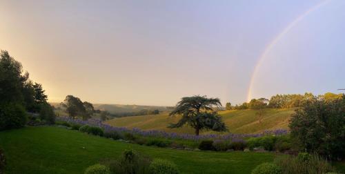 . Haven Hills