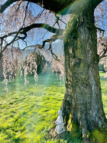 Paradiso sul lago