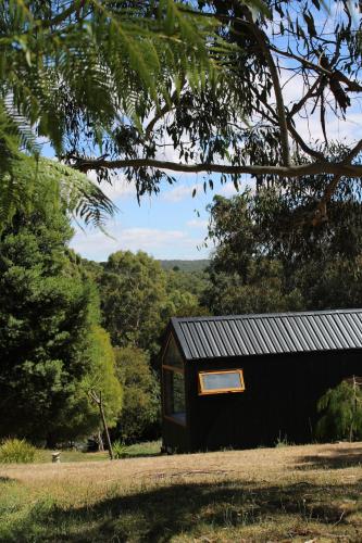 Libelle - Peaceful, Secluded Luxury with abundant wildlife and seasonal water views, on 3 private acres IN Daylesford, Daylesford (foto 7)