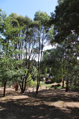 Libelle - Peaceful, Secluded Luxury with abundant wildlife and seasonal water views, on 3 private acres IN Daylesford, Daylesford (foto 8)