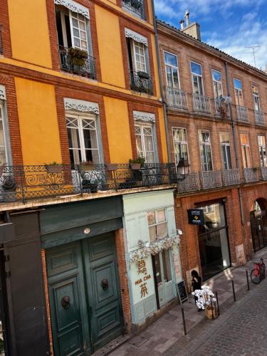 Toulouse Capitole superbe appartement, Toulouse (photo 8)