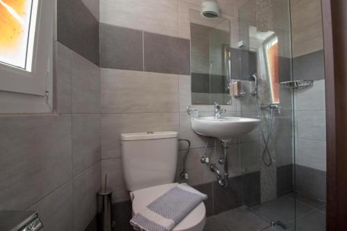 Cosmopolit - image 9