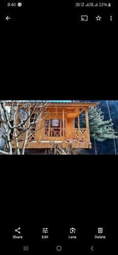 The tree house ghiyagi