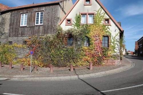 Südpfalz in Barbelroth, Deutschland